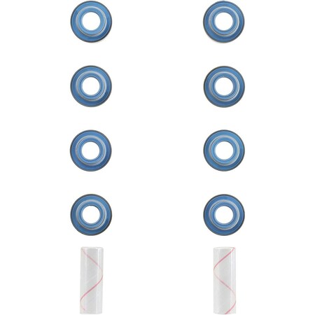 Reinz Engine Valve Stem Oil Seal Set, 12-10096-01 12-10096-01